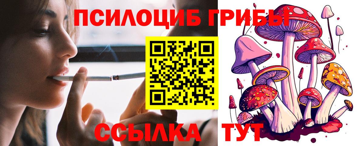 Галлюциногенные грибы Psilocybe Краснодар